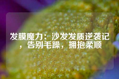 发膜魔力：沙发发质逆袭记，告别毛躁，拥抱柔顺