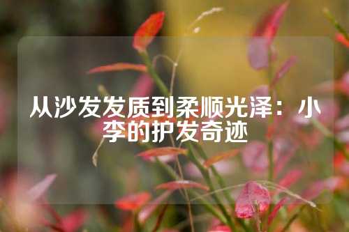 从沙发发质到柔顺光泽：小李的护发奇迹