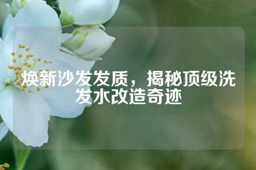 焕新沙发发质，揭秘顶级洗发水改造奇迹