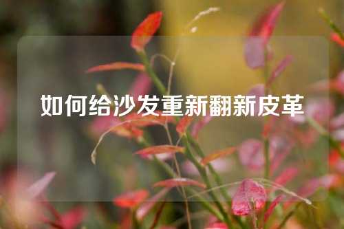 如何给沙发重新翻新皮革