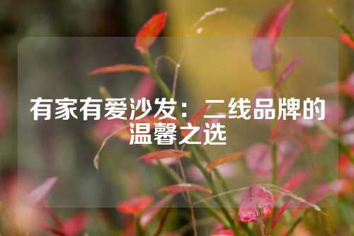 有家有爱沙发：二线品牌的温馨之选