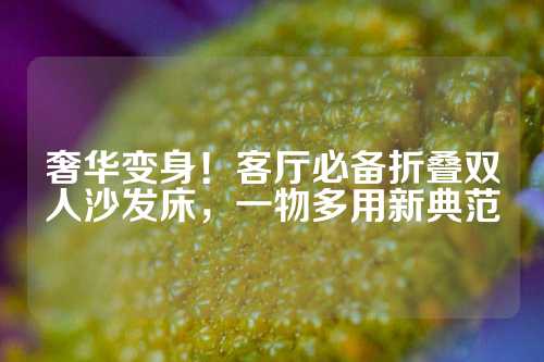 奢华变身！客厅必备折叠双人沙发床，一物多用新典范