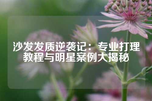 沙发发质逆袭记：专业打理教程与明星案例大揭秘