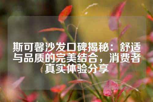 斯可馨沙发口碑揭秘：舒适与品质的完美结合，消费者真实体验分享