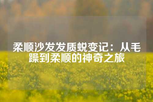 柔顺沙发发质蜕变记：从毛躁到柔顺的神奇之旅