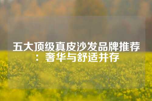 五大顶级真皮沙发品牌推荐：奢华与舒适并存