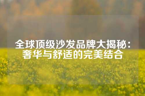 全球顶级沙发品牌大揭秘:奢华与舒适的完美结合