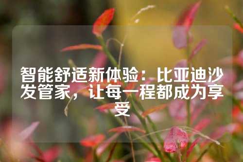 智能舒适新体验：比亚迪沙发管家，让每一程都成为享受