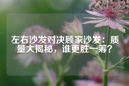 左右沙发对决顾家沙发：质量大揭秘，谁更胜一筹？