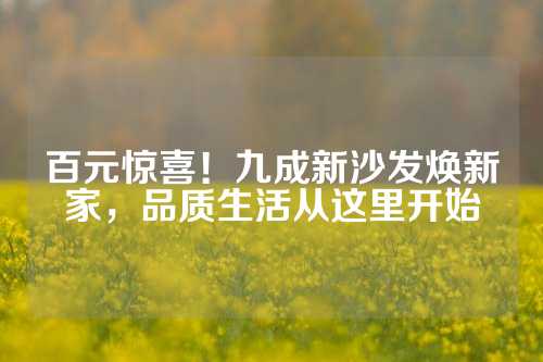 百元惊喜！九成新沙发焕新家，品质生活从这里开始
