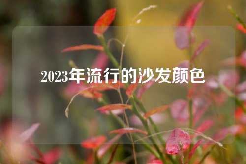 2023年流行的沙发颜色