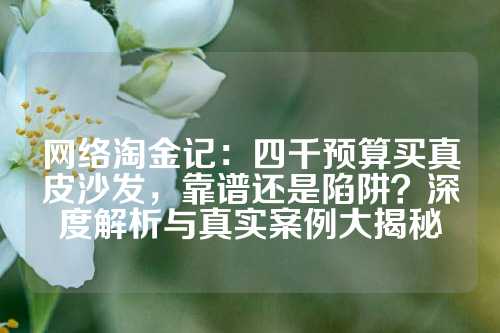 网络淘金记：四千预算买真皮沙发，靠谱还是陷阱？深度解析与真实案例大揭秘