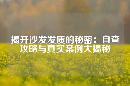 揭开沙发发质的秘密：自查攻略与真实案例大揭秘