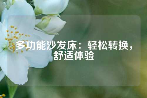 多功能沙发床：轻松转换，舒适体验