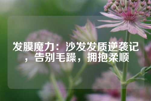 发膜魔力：沙发发质逆袭记，告别毛躁，拥抱柔顺
