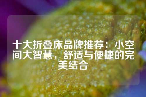 十大折叠床品牌推荐：小空间大智慧，舒适与便捷的完美结合