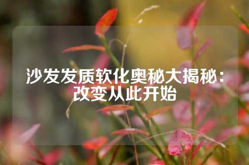 沙发发质软化奥秘大揭秘：改变从此开始