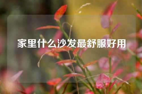 家里什么沙发最舒服好用