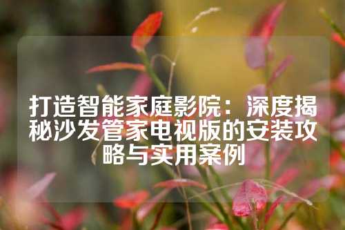 打造智能家庭影院：深度揭秘沙发管家电视版的安装攻略与实用案例