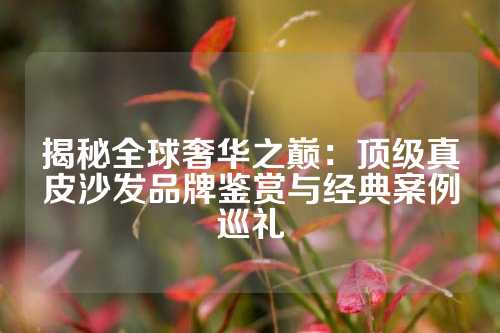 揭秘全球奢华之巅：顶级真皮沙发品牌鉴赏与经典案例巡礼