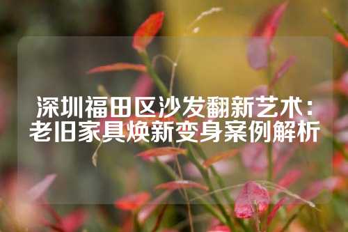 深圳福田区沙发翻新艺术：老旧家具焕新变身案例解析