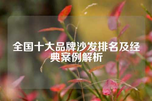 全国十大品牌沙发排名及经典案例解析