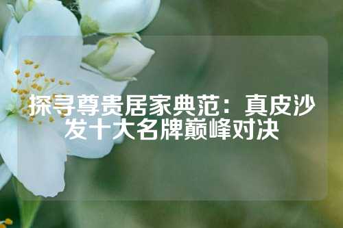 探寻尊贵居家典范：真皮沙发十大名牌巅峰对决