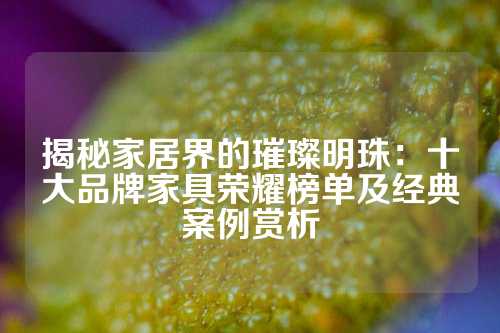 揭秘家居界的璀璨明珠：十大品牌家具荣耀榜单及经典案例赏析