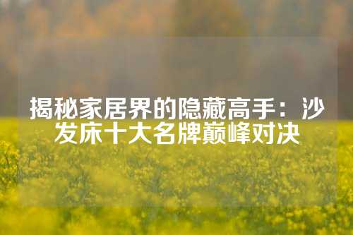 揭秘家居界的隐藏高手：沙发床十大名牌巅峰对决