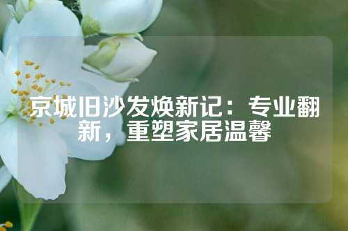 京城旧沙发焕新记：专业翻新，重塑家居温馨