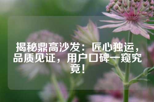 揭秘鼎高沙发：匠心独运，品质见证，用户口碑一窥究竟！