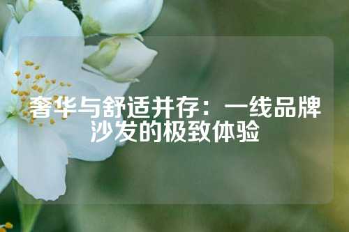 奢华与舒适并存：一线品牌沙发的极致体验