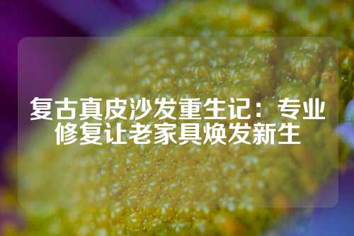 复古真皮沙发重生记:专业修复让老家具焕发新生