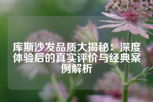 库斯沙发品质大揭秘：深度体验后的真实评价与经典案例解析