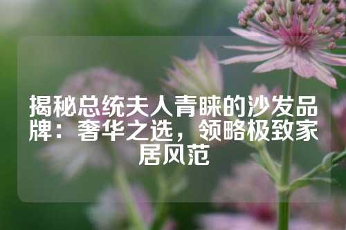 揭秘总统夫人青睐的沙发品牌:奢华之选,领略极致家居风范