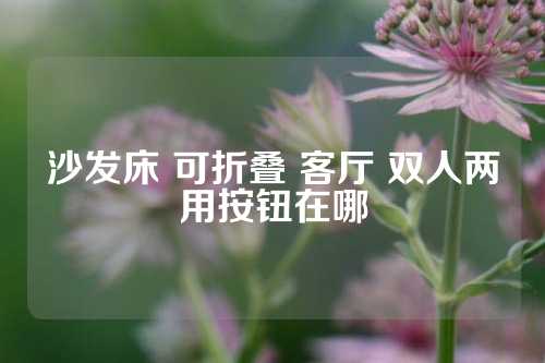 沙发床 可折叠 客厅 双人两用按钮在哪