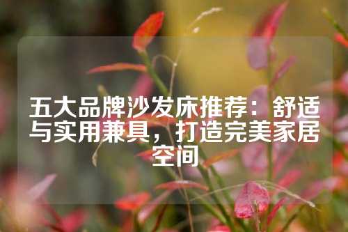 五大品牌沙发床推荐：舒适与实用兼具，打造完美家居空间