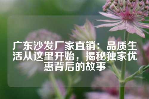 广东沙发厂家直销：品质生活从这里开始，揭秘独家优惠背后的故事