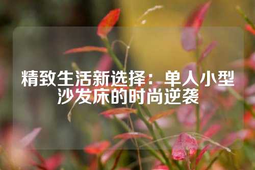 精致生活新选择:单人小型沙发床的时尚逆袭