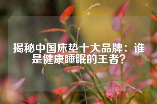 揭秘中国床垫十大品牌：谁是健康睡眠的王者？