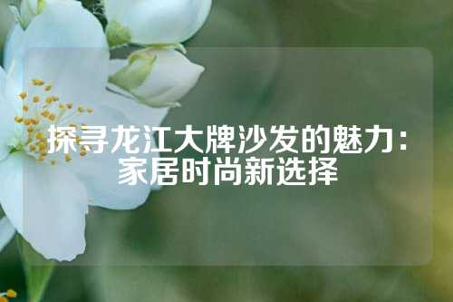 探寻龙江大牌沙发的魅力：家居时尚新选择