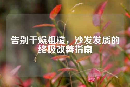 告别干燥粗糙，沙发发质的终极改善指南