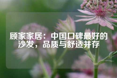 顾家家居：中国口碑最好的沙发，品质与舒适并存