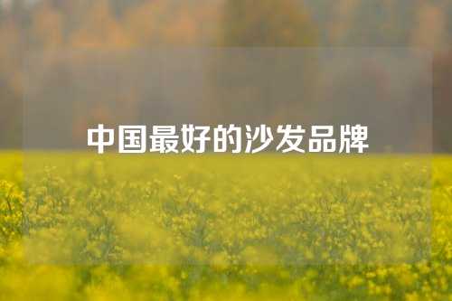 中国最好的沙发品牌