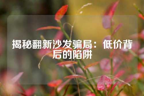 揭秘翻新沙发骗局：低价背后的陷阱