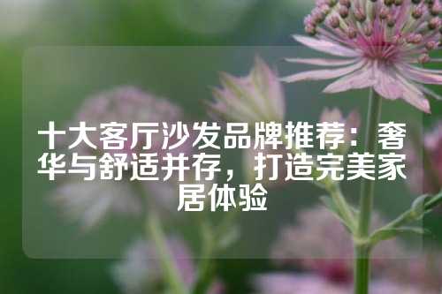 十大客厅沙发品牌推荐：奢华与舒适并存，打造完美家居体验
