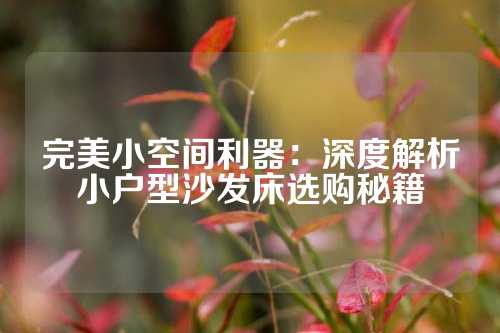 完美小空间利器：深度解析小户型沙发床选购秘籍