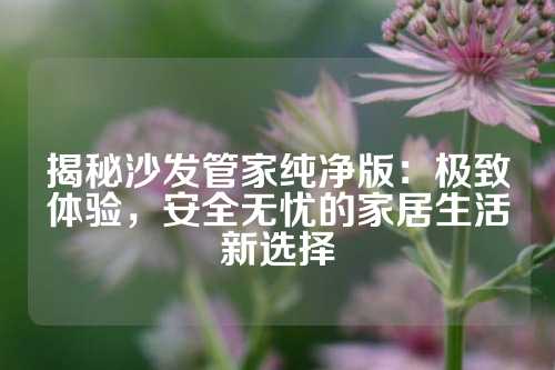 揭秘沙发管家纯净版：极致体验，安全无忧的家居生活新选择