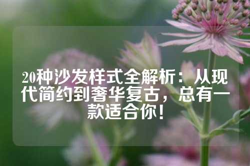 20种沙发样式全解析：从现代简约到奢华复古，总有一款适合你！