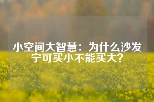 小空间大智慧：为什么沙发宁可买小不能买大？